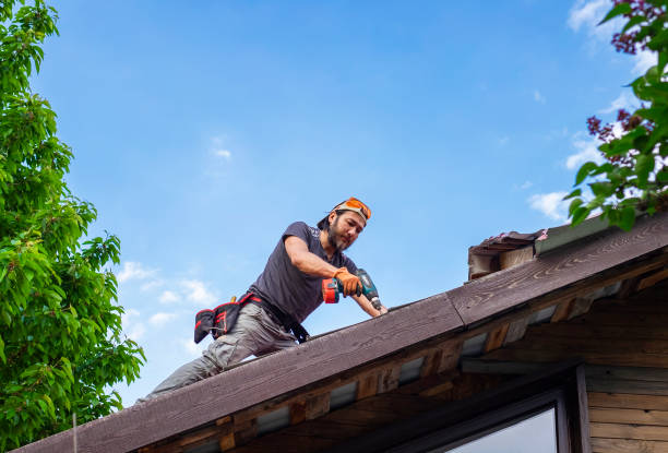 Professional Roofing servicies in La Grulla, TX